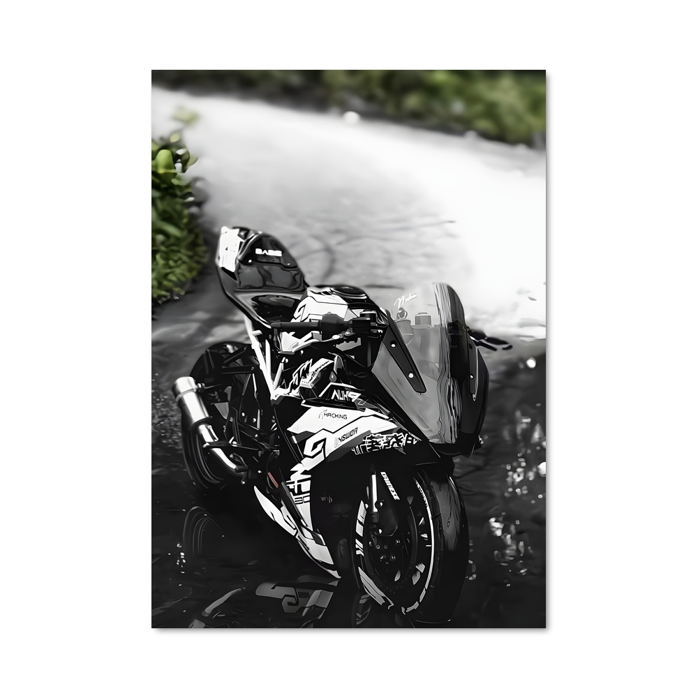 Poster rr-s magnifique
